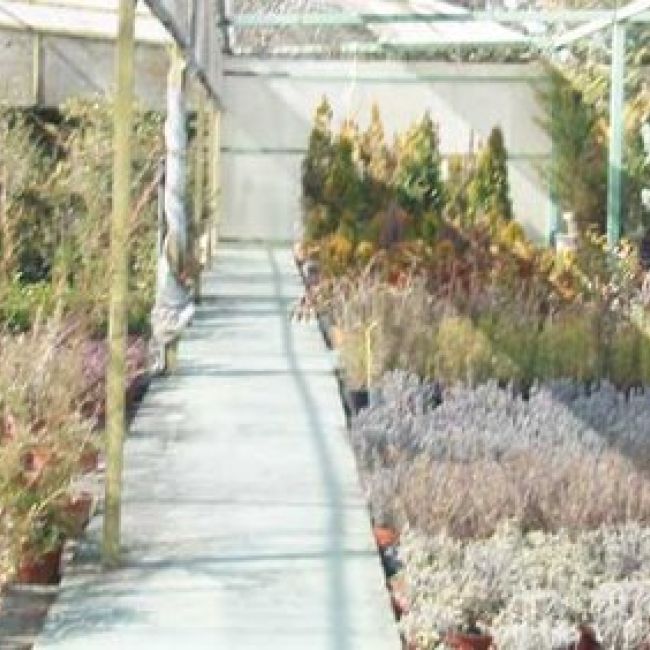 empresa de jardineria en madrid